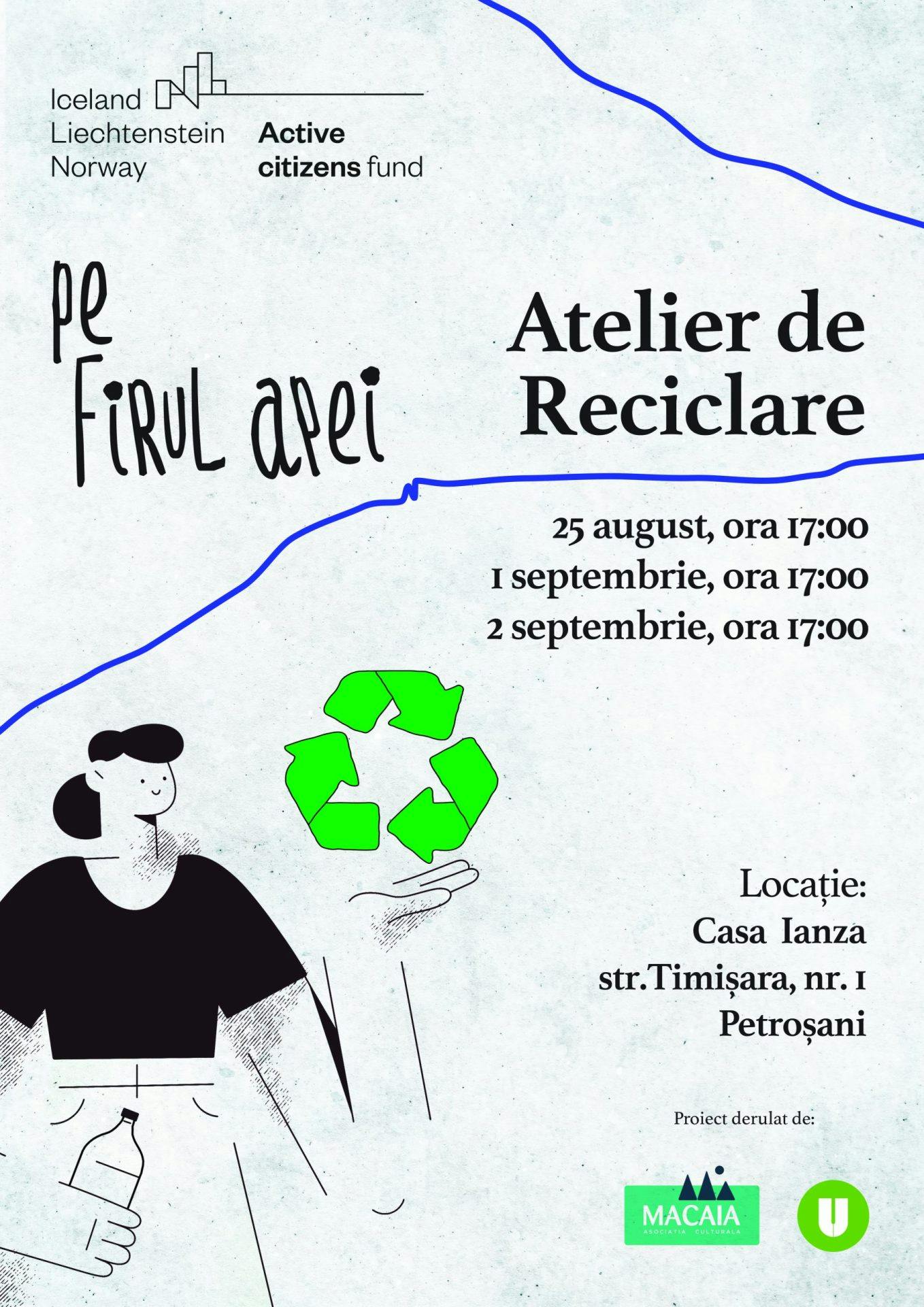 Cover Image for Atelierele de reciclare