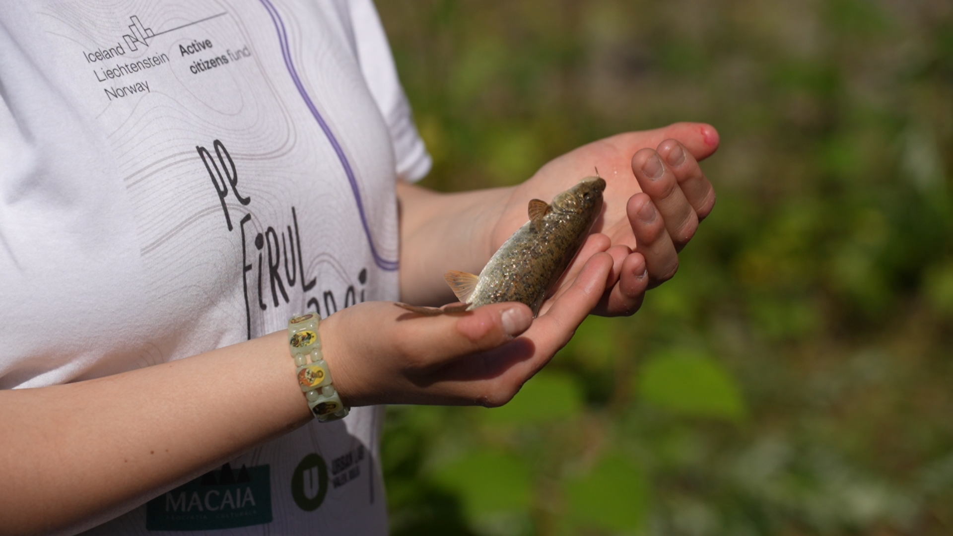 Cover Image for Excursie educativă -Viața pe pârâul Maleia